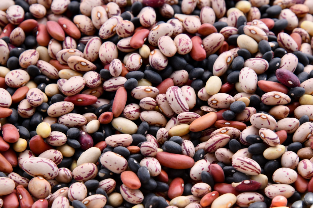 A close-up shot of assorted legumes and beans. 