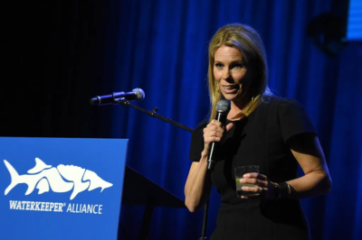 Cheryl Hines Menopause Age & Supplements Taken: From Comedic Actress to Advocating for Menopause Conversations