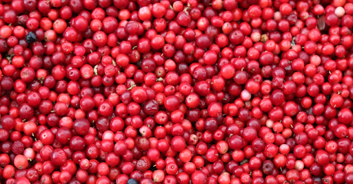 Cranberry & Menopause: Blood Sugar, Weight Loss & Hormones