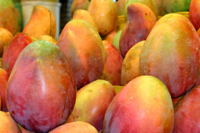 African Mango for Menopause: Uses, Side Effects & Dosage for Metabolic Weight Loss Support