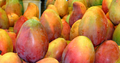 African Mango for Weight Loss: Menopause, Blood Sugar & Hormone Balance