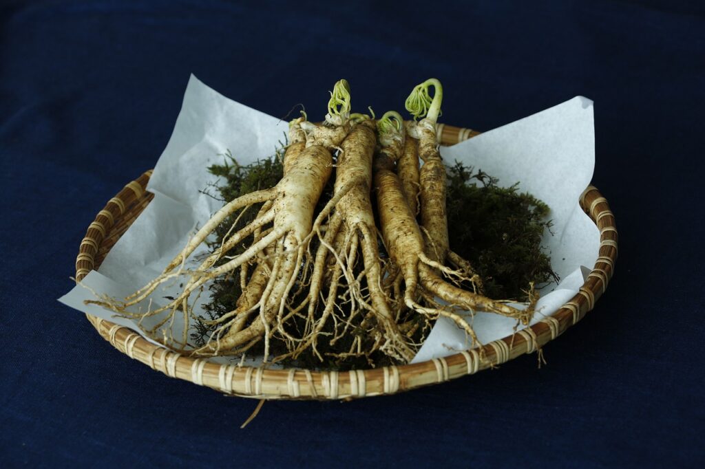 A basket containing fresh Panax ginseng roots with green sprouts.