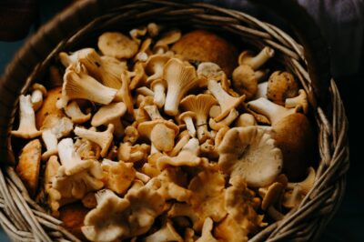 Maitake Mushroom for Menopause: Uses, Side Effects & Dosage for Weight & Blood Sugar Regulation