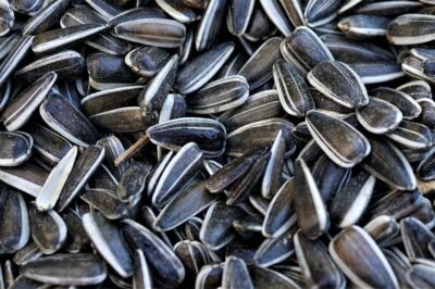 Phosphatidylcholine for Menopause: Uses, Side Effects & Dosage for Fat Metabolism & Hormonal Health