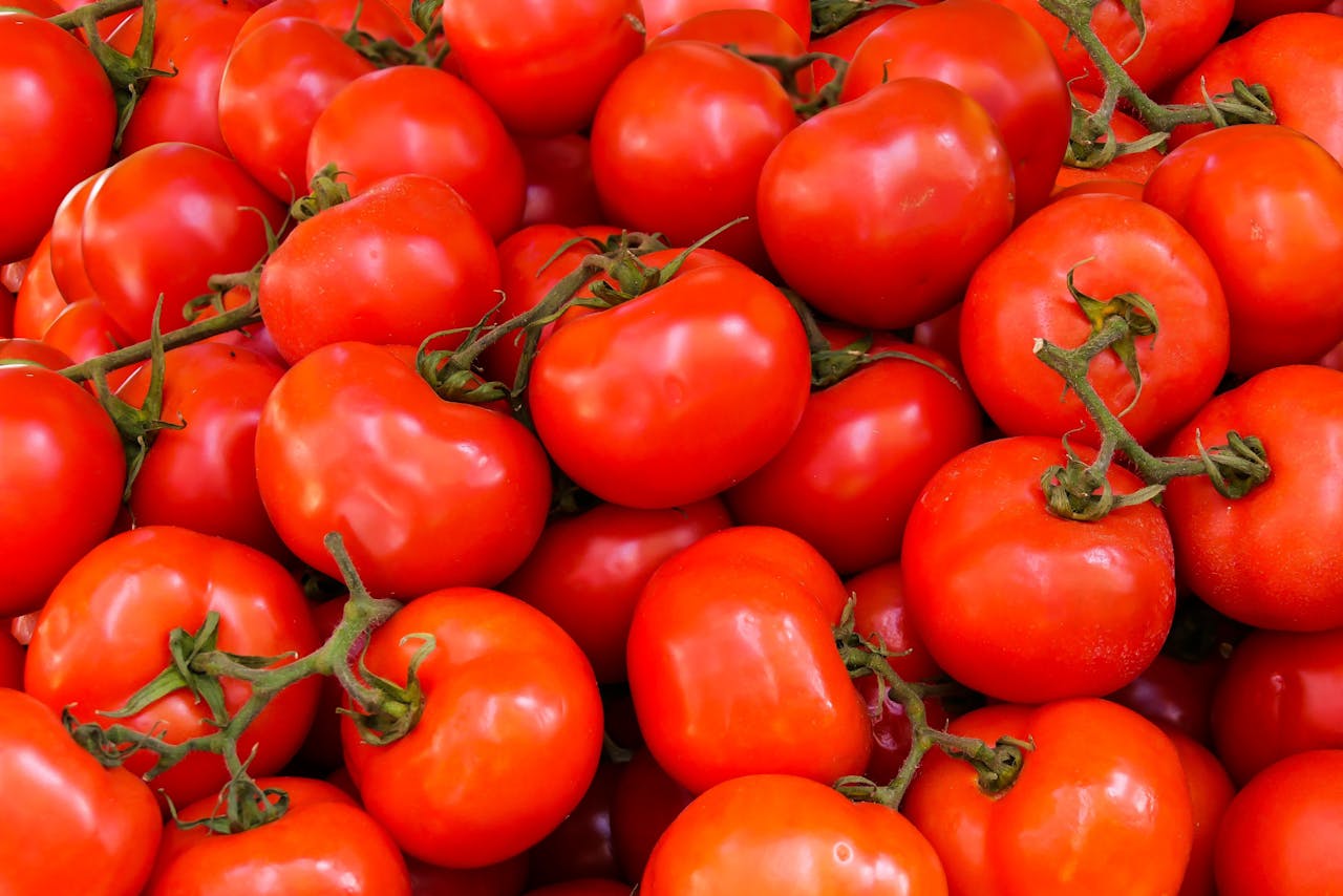 A large pile of ripe red tomatoes with green stems, closely packed together.