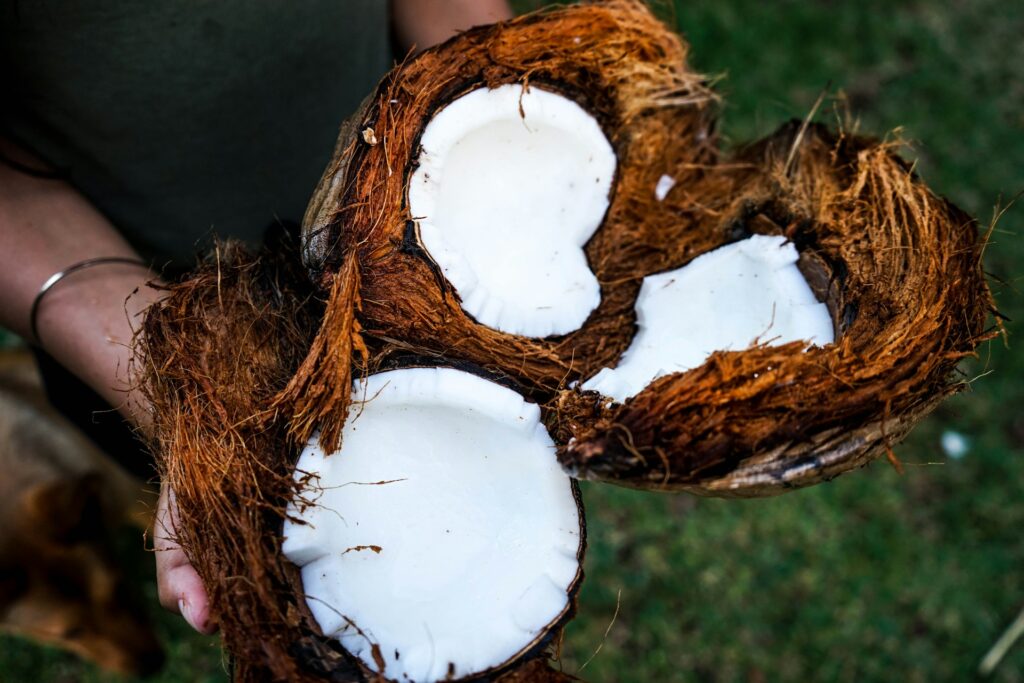 Close-up of a person holding a freshly cracked open coconut, revealing the white flesh inside.