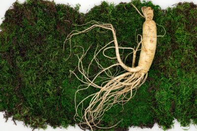 Panax Ginseng for Menopause: Adaptogenic Herb Uses, Side Effects & Dosage for Blood Sugar & Hormonal Balance