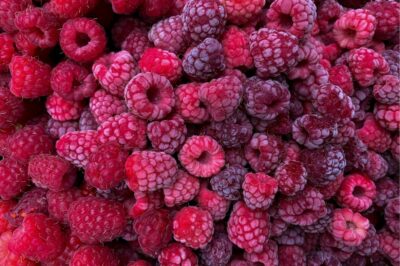 Raspberry Ketones for Menopause: Uses, Side Effects & Dosage for Metabolic Weight Loss