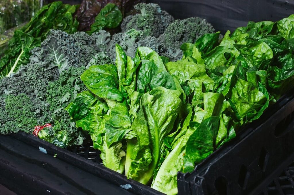 Assortment of leafy green vegetables including kale and lettuce at a market.