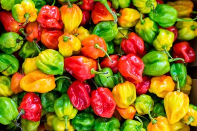 Capsaicin for Menopause: Uses, Side Effects & Dosage for Metabolism Boost & Weight Loss