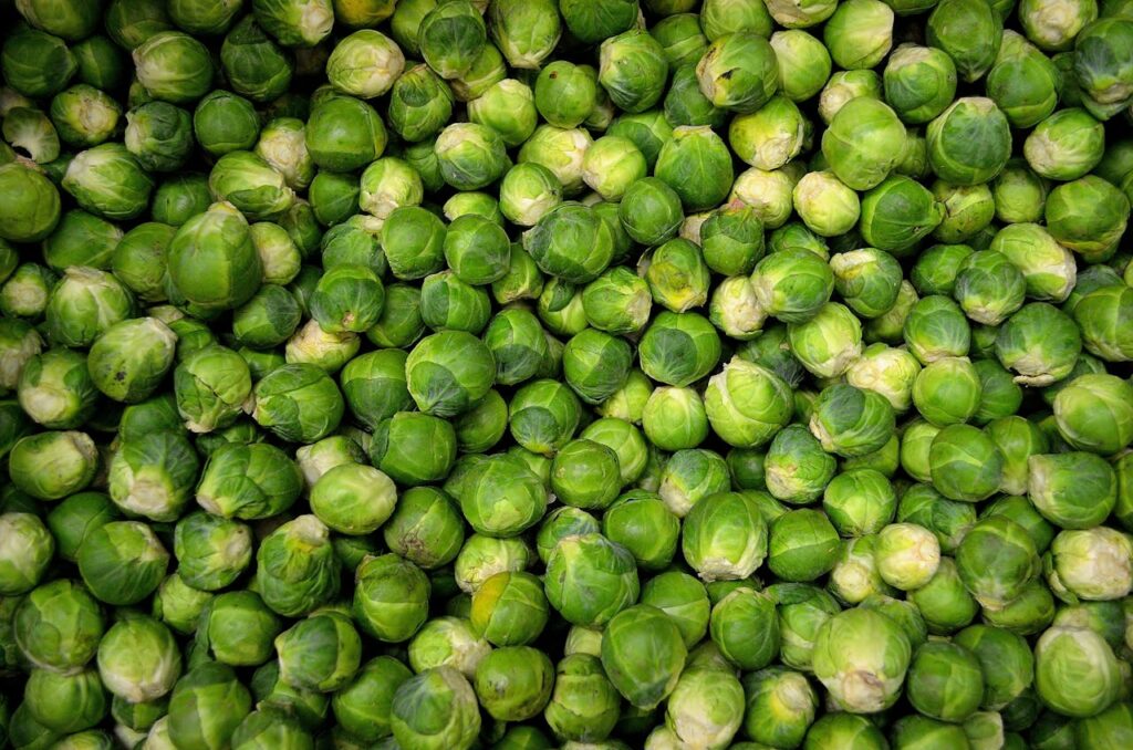 Top view of a pile of fresh green brussels sprouts.